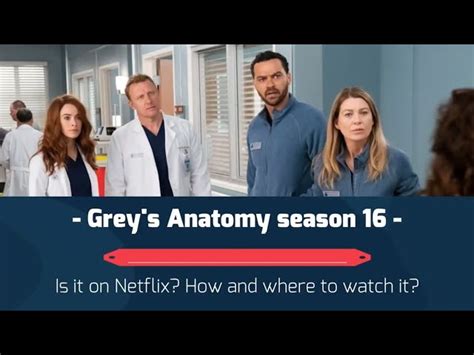 grey's anatomy season 16|grey's anatomy season 16 online.